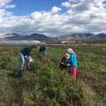 Overcoming Challenges for Small Nonprofits in Colorado Springs