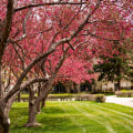 Partnerships of Nonprofit Organizations in Colorado Springs: A Comprehensive Guide